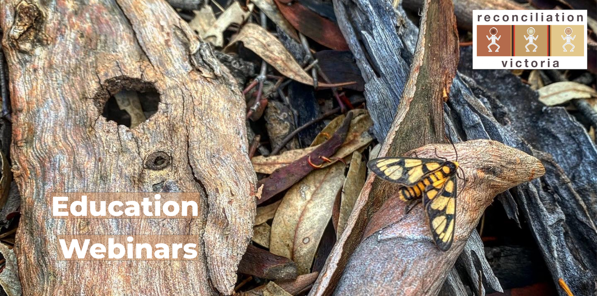 Country, Connection and Reflection – Education Webinar | Deadly Western ...