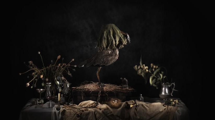 Dark image with chained bird on a table with glasses and dried plants