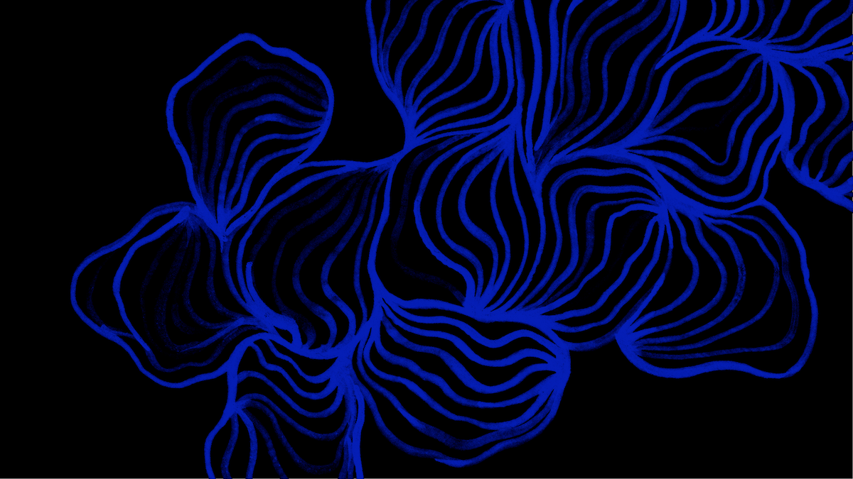 Rising - ShadowSpirit Exhibition Picture