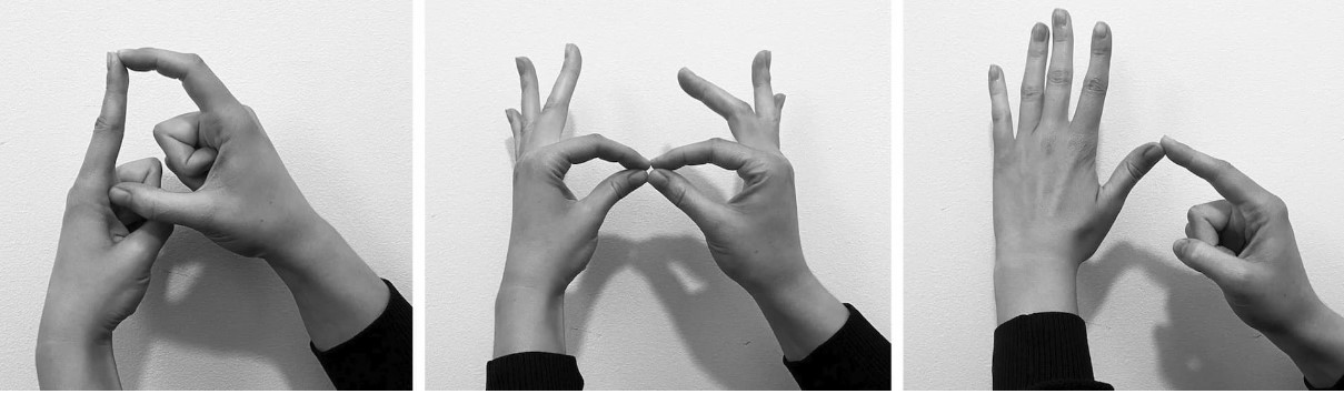 DeafBlind Australia - Picture - Hands doing sign language.